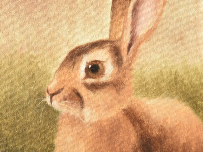 Rabbit Original Painting, Animal Painting